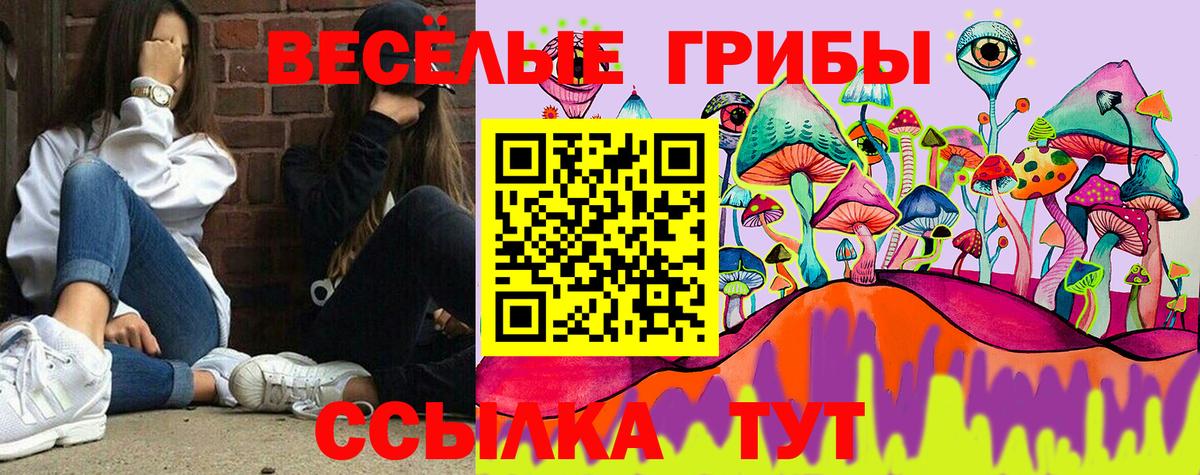 Псилоцибиновые грибы Magic Shrooms Гусиноозёрск