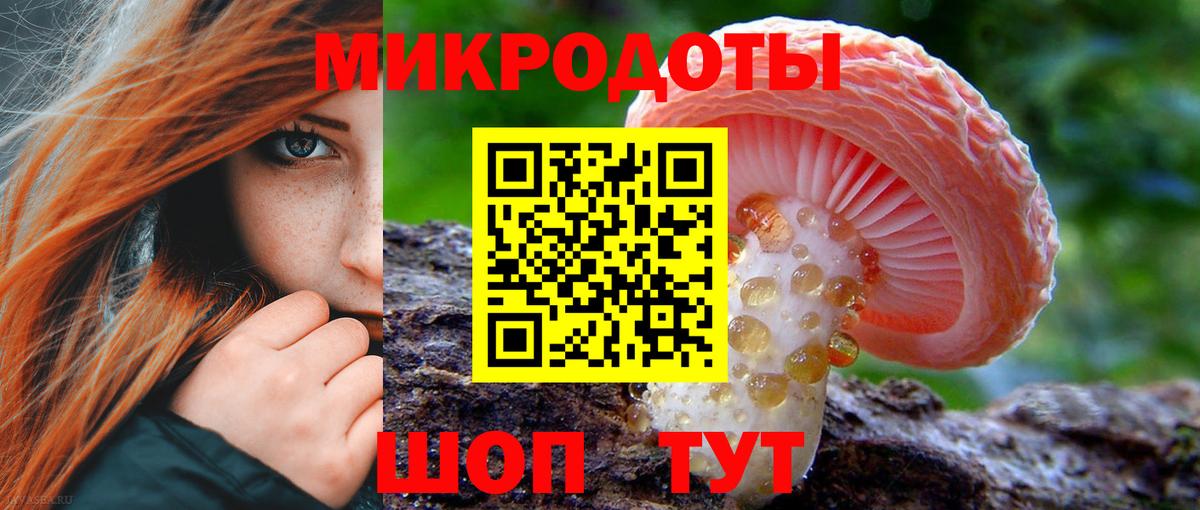 Галлюциногенные грибы мицелий  Вход с VPN  Псилоцибиновые грибы прущие грибы  Гусиноозёрск 